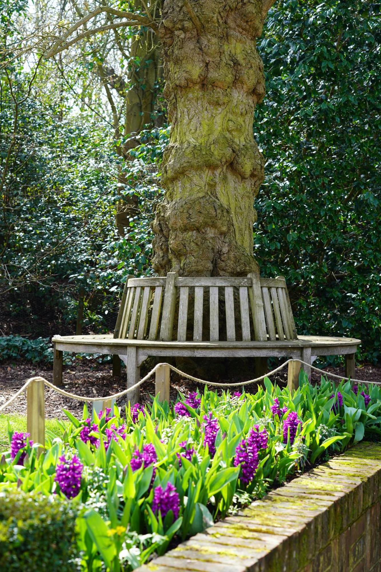 Milsoms Otel Dedham Dış mekan fotoğraf